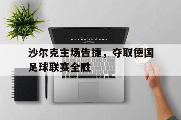 多米体育网址-德国沙尔克04主场